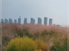 -映月湖中央公园