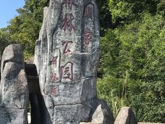 -桂山风景旅游区