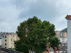 -洞背山庄(洞背院区式管理小区店)