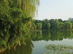-后襄河公园