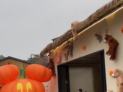 -HERRE·FARM 赫尔露营农场·团建聚会包场