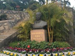 -鼓浪屿钢琴博物馆