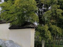 -大渡口区义渡公园