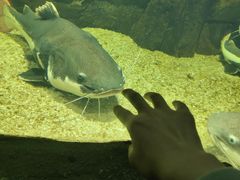 -泉城欧乐堡海洋极地世界