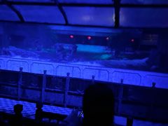 -济南方特东方神画