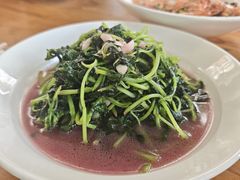 红苋菜-卢小厨私房菜(长兴店)