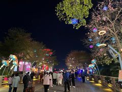 -欢乐海岸水秀剧场