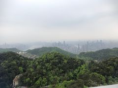 -大金鹰园