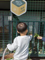 -小蜜蜂农场(凯德七宝购物广场店)