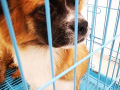 -万达广场(扬州邗江店)