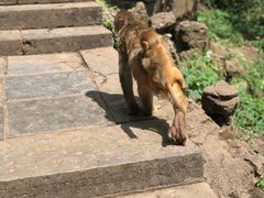 -黔灵山公园-南门售票处