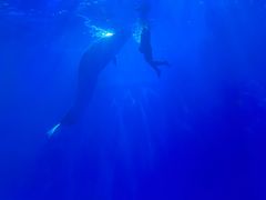 -多彩贵州城极地海洋世界