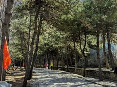 -藏山旅游风景区