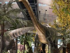 -湖南省地质博物馆