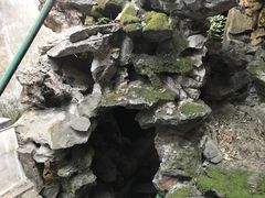 -东山雕花楼
