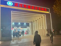 -武汉关码头(轮渡站)