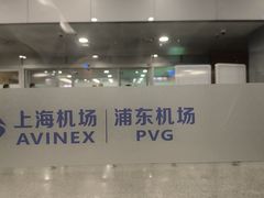 -上海浦东国际机场-T2航站楼