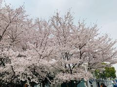 -闵行体育馆-停车场