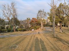 -牛岗山公园