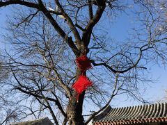 -北京国子监胡同