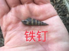 -硇洲岛旅游区