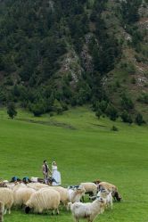 -花漾摄影优选工作室(东莞原创作品店)