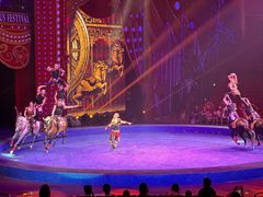 -珠海横琴长隆《卡卡虎奇遇记》