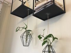 -Meowの猫咖(万家丽店)