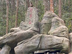-普洱太阳河森林公园