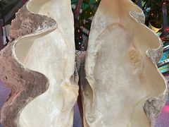 -北国之春国宴(乌兰察布店)