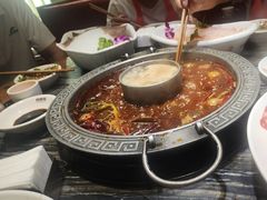 -杨肥肠火锅大排档(火车站花园店)