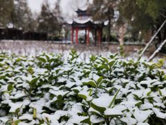 -洛阳白马寺