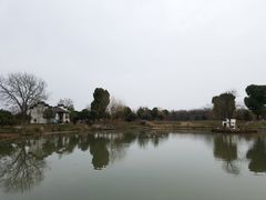 -鹅湖玫瑰文化园