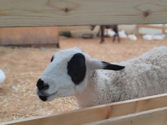 -HERRE·FARM 赫尔露营农场·团建聚会包场