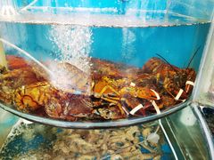 -仙螺岛海鲜自助餐厅(总店)