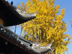 -龙华寺