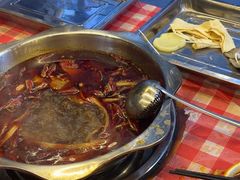 -金鼎雪山牦牛杂火锅(理县总店)