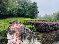 -敬亭山风景名胜区