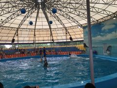 -尼莫海豚馆