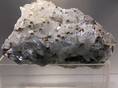 -甘肃地质博物馆