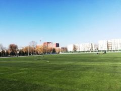 -东北大学(秦皇岛分校)
