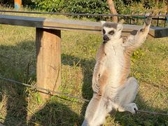 -杭州野生动物世界
