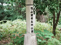 -潜山国家森林公园