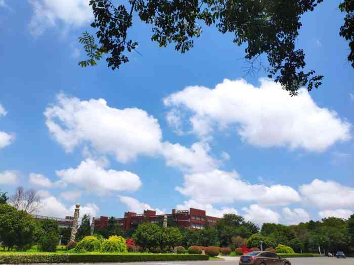 山东科技大学(黄岛校区)-"早就听说山科大校园很漂亮,正好来这边了,.