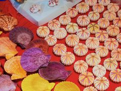 -摩登百货(岗顶店)