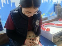 -芭比堂动物医院·犬猫全科·异宠专科(雁塔分院)