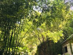 -竹泉村旅游度假区