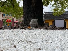 -龙华寺