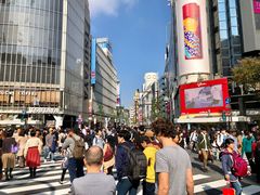 -涩谷全向十字路口