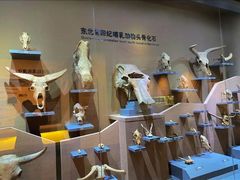 -大庆市博物馆